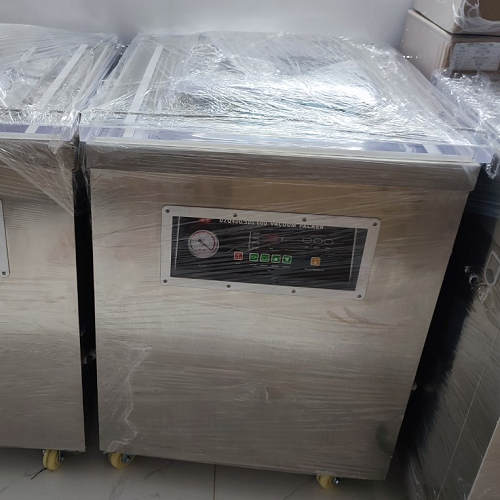 Máy hút chân không công nghiệp DZQ 600